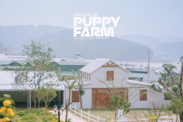 Vé tham quan Nông Trại Cún – Puppy Farm Đà Lạt